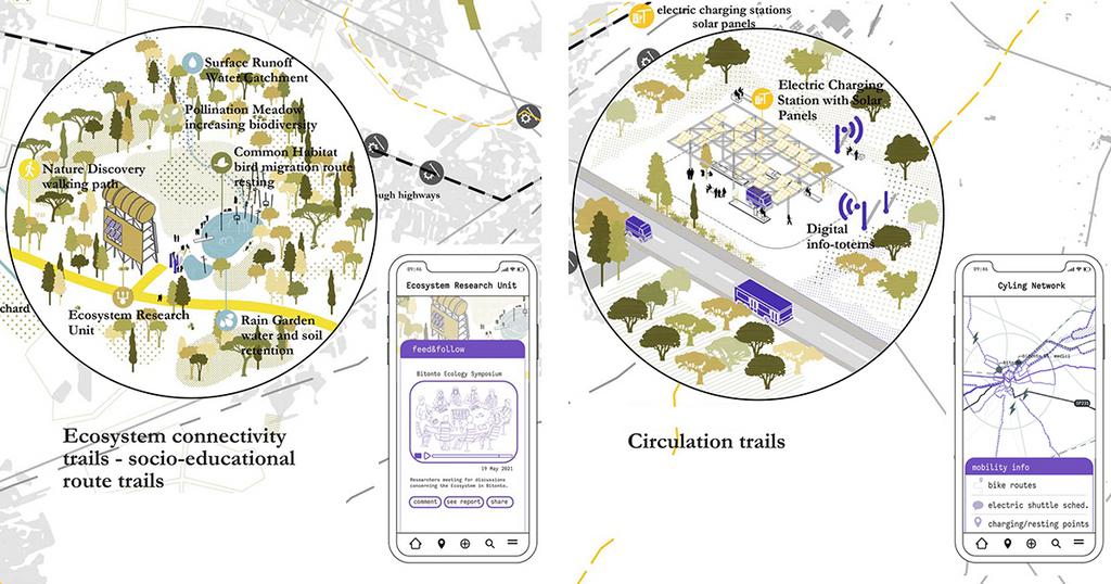 Runner up Bitonto Atlas of Rituals 3