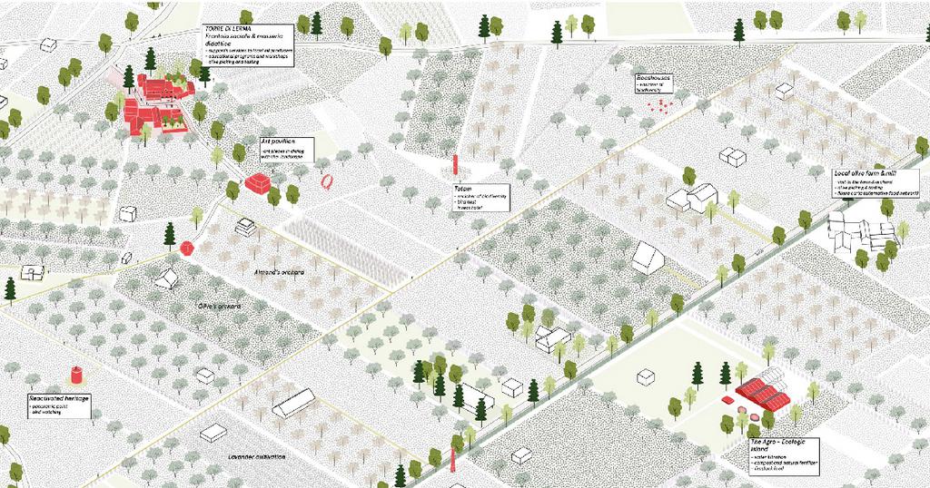 Menzione Speciale Bitonto DOP 1