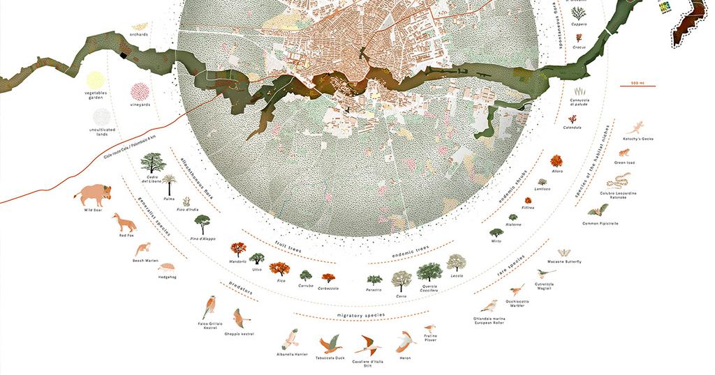 Progetto Vincitore Bitonto Strategia