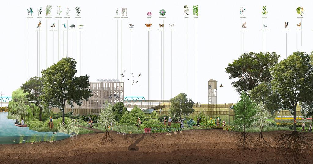 Progetto Vincitore San Donà di Piave vista1