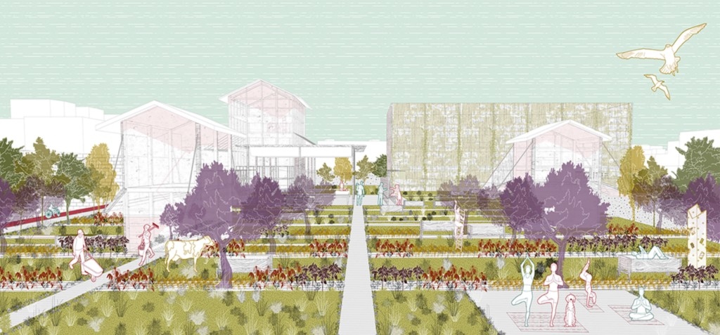 Learning from Polignano 2