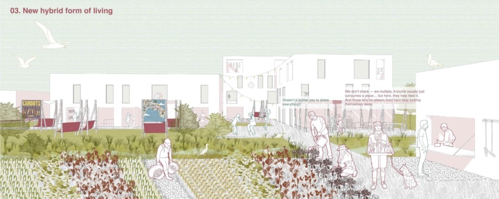 Learning from Polignano 3